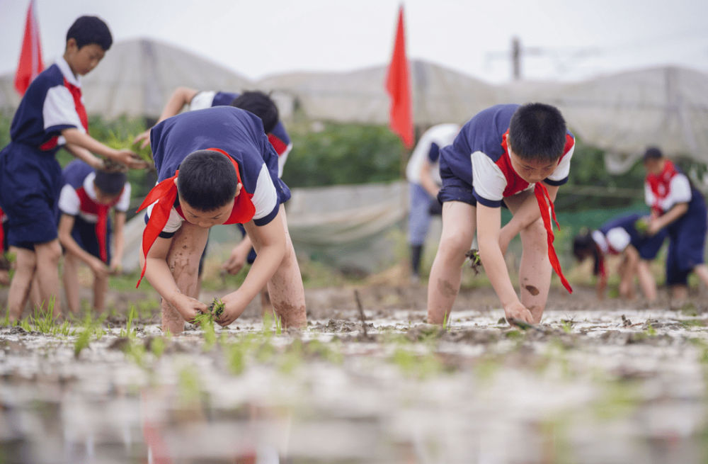 彭山这所小学入选全国乡村温馨校园